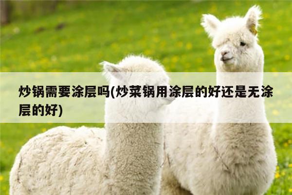 beat365在线体育_炒锅需要涂层吗(炒菜锅用涂层的好还是无涂层的好)