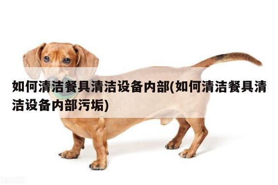 【beat365官网登录】如何清洁餐具清洁设备内部(如何清洁