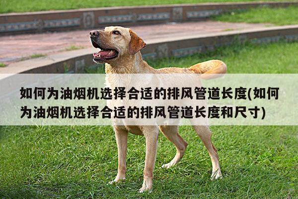 如何为油烟机选择合适的排风管道长度(如何为油烟机选择合适的排风管道长度和尺寸)【beat365】