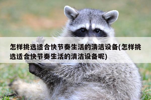 beat365：怎样挑选适合快节奏生活的清洁设备(怎样挑选适
