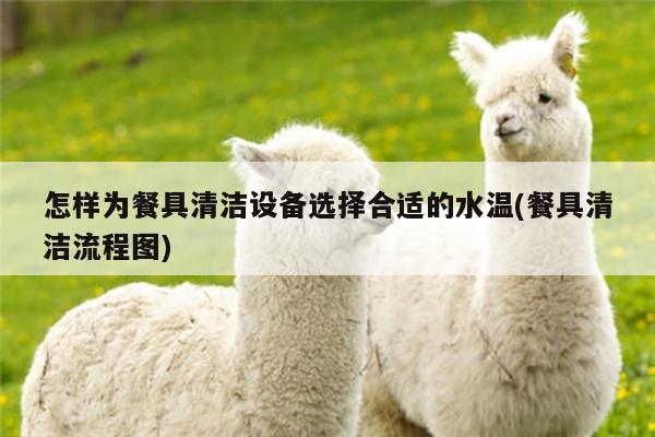 beat365平台：怎样为餐具清洁设备选择合适的水温(餐具清