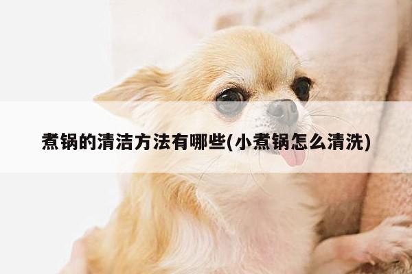 煮锅的清洁方法有哪些(小煮锅怎么清洗)|beat365在线体