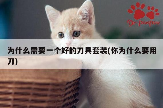 beat365平台：为什么需要一个好的刀具套装(你为什么要用刀)