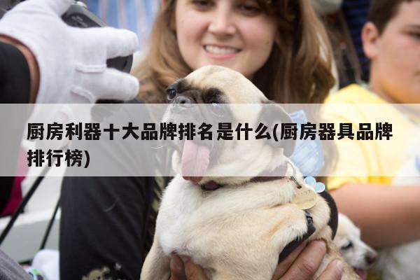 厨房利器十大品牌排名是什么(厨房器具品牌排行榜)|beat365在线体育