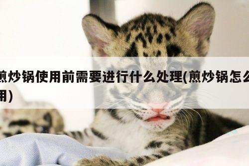 beat365官网登录|煎炒锅使用前需要进行什么处理(煎炒锅怎么用)