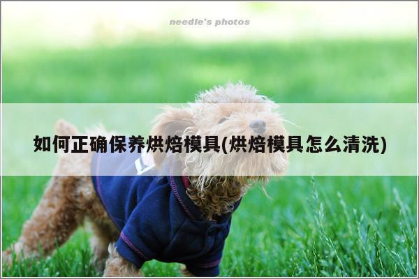 【beat365在线体育】如何正确保养烘焙模具(烘焙模具怎么清洗)