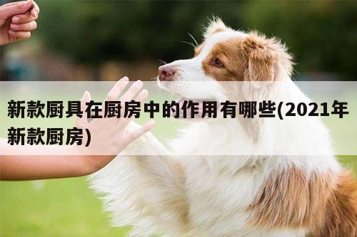 新款厨具在厨房中的作用有哪些(2021年新款厨房)_beat365在线体育