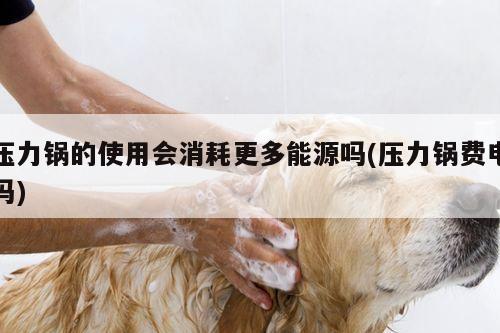 beat365在线体育|压力锅的使用会消耗更多能源吗(压力锅费电吗)