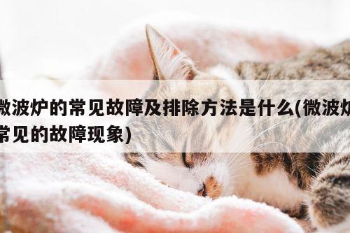 beat365平台|微波炉的常见故障及排除方法是什么(微波炉常见的故障现象)