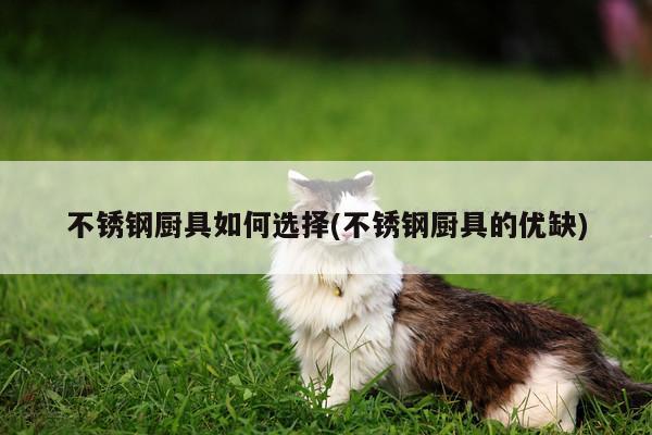 不锈钢厨具如何选择(不锈钢厨具的优缺)-beat365平台