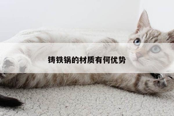 铸铁锅的材质有何优势-beat365官网登录